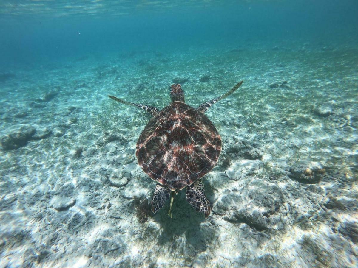 Gili Tenda Gili Trawangan Kültér fotó